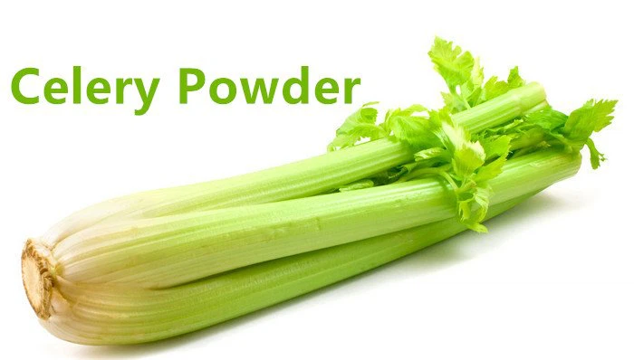 Celery Extract Powder.png